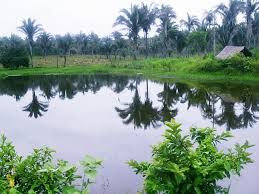 Viagens São Luis x Graça Aranha. Reservas: (98)3243-6359 / (98)9.8892-2004